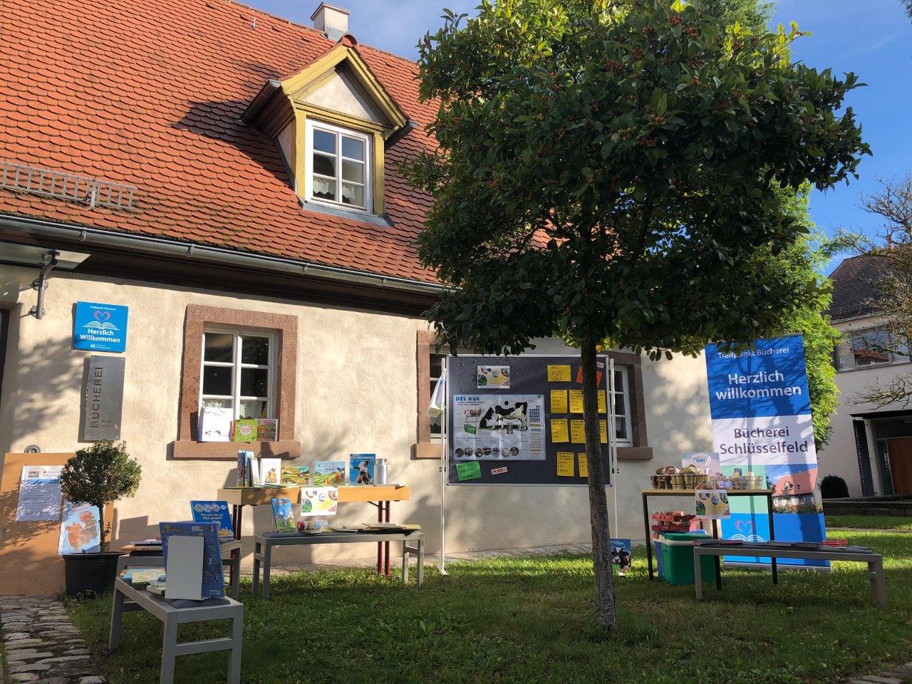BMI und KOEB
