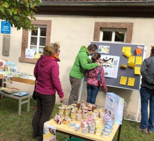 BMI und KOEB