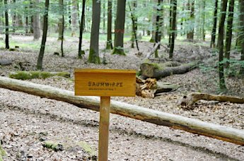 Baumwippe