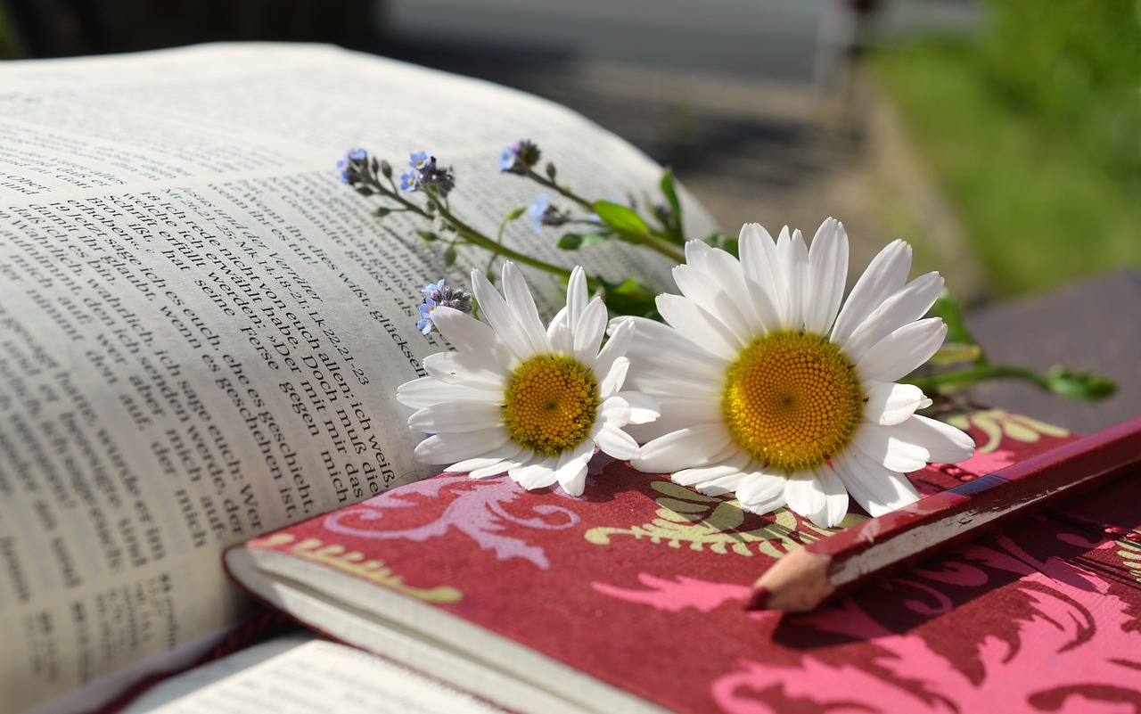 Bibel Worte für die Seele