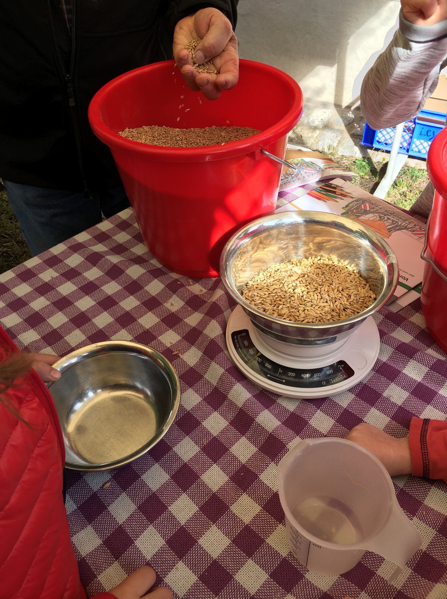 Brot und Honig