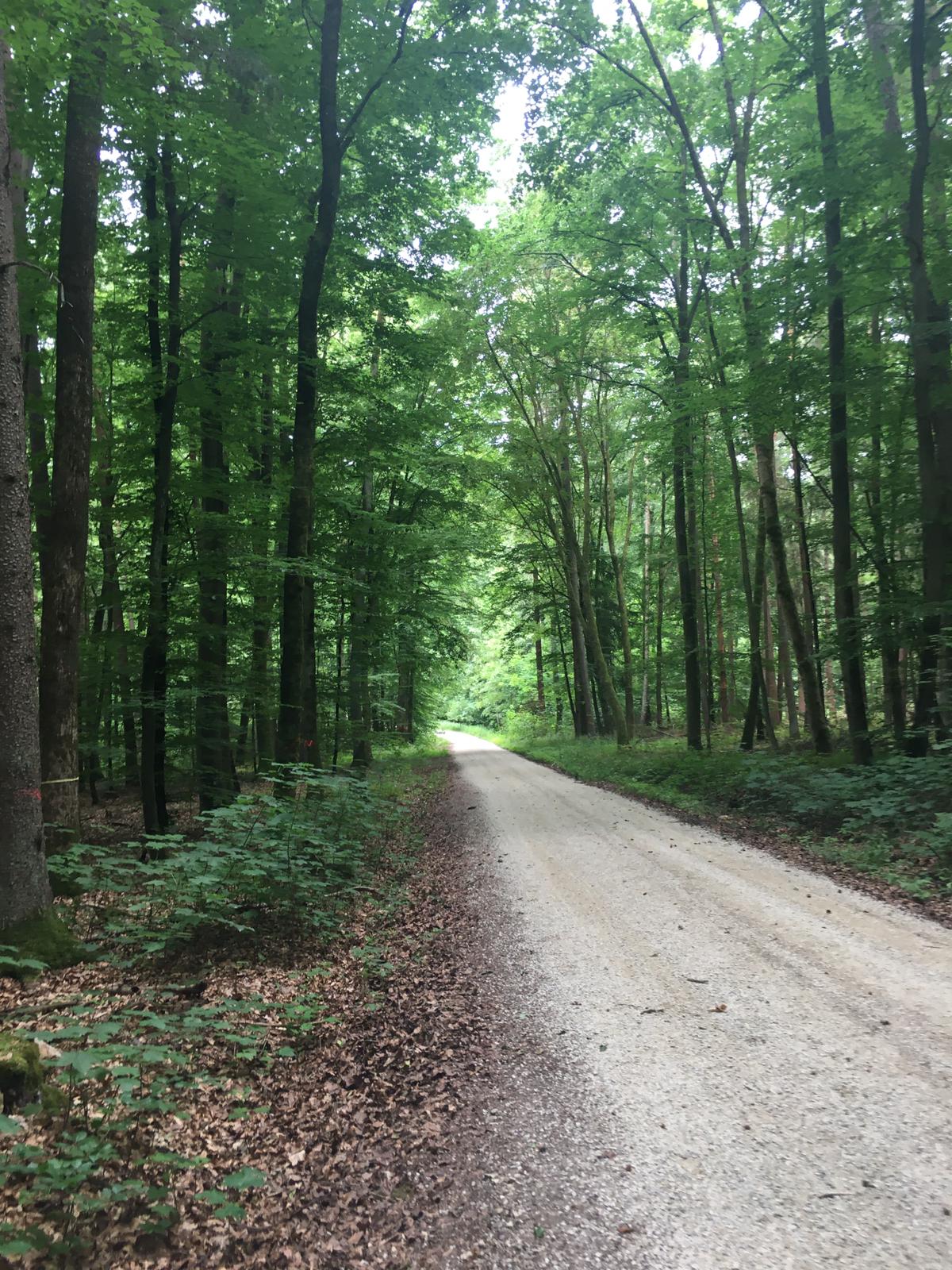 Gottesdienst in Wanderschuhen