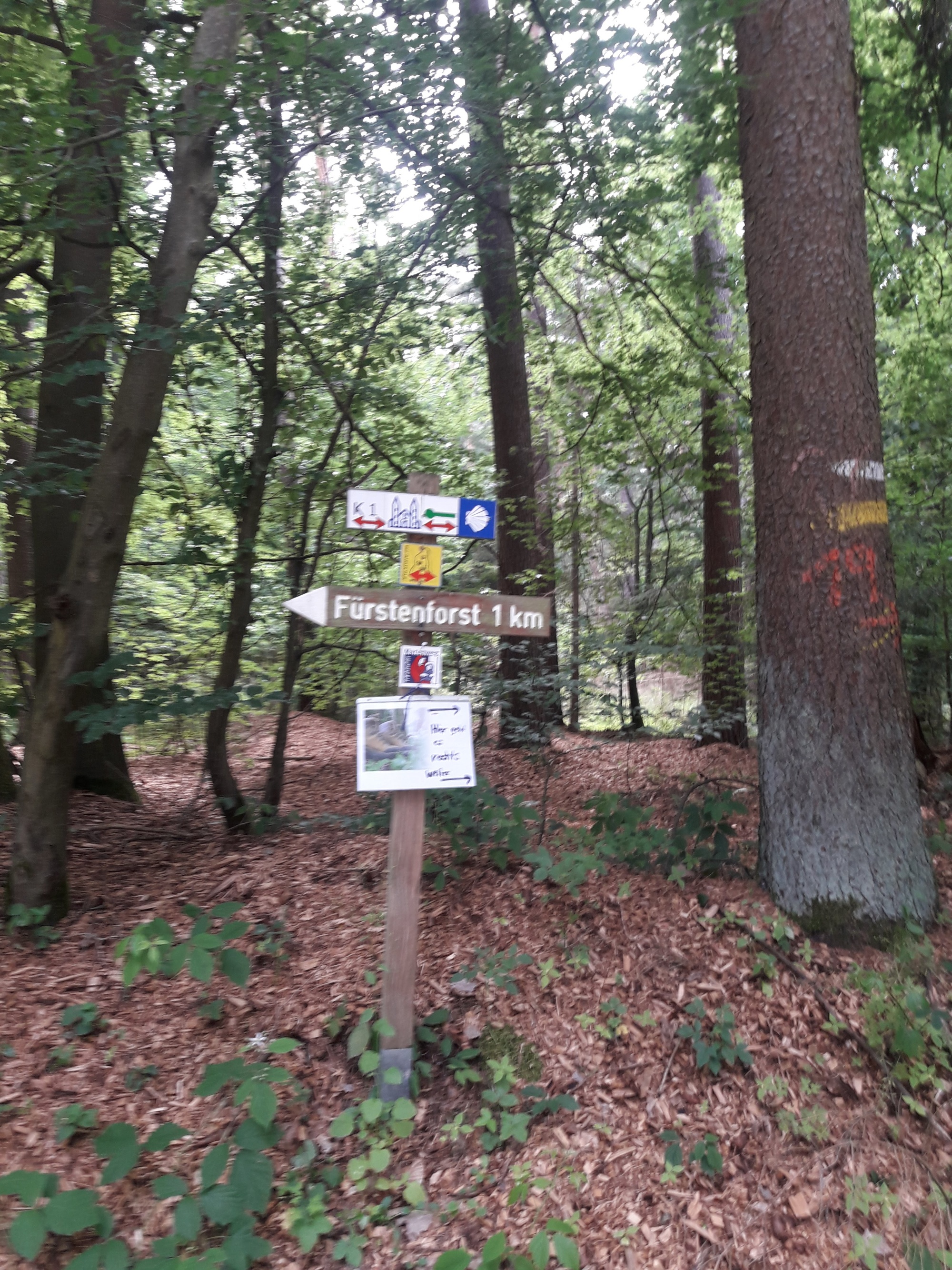 Gottesdienst in Wanderschuhen