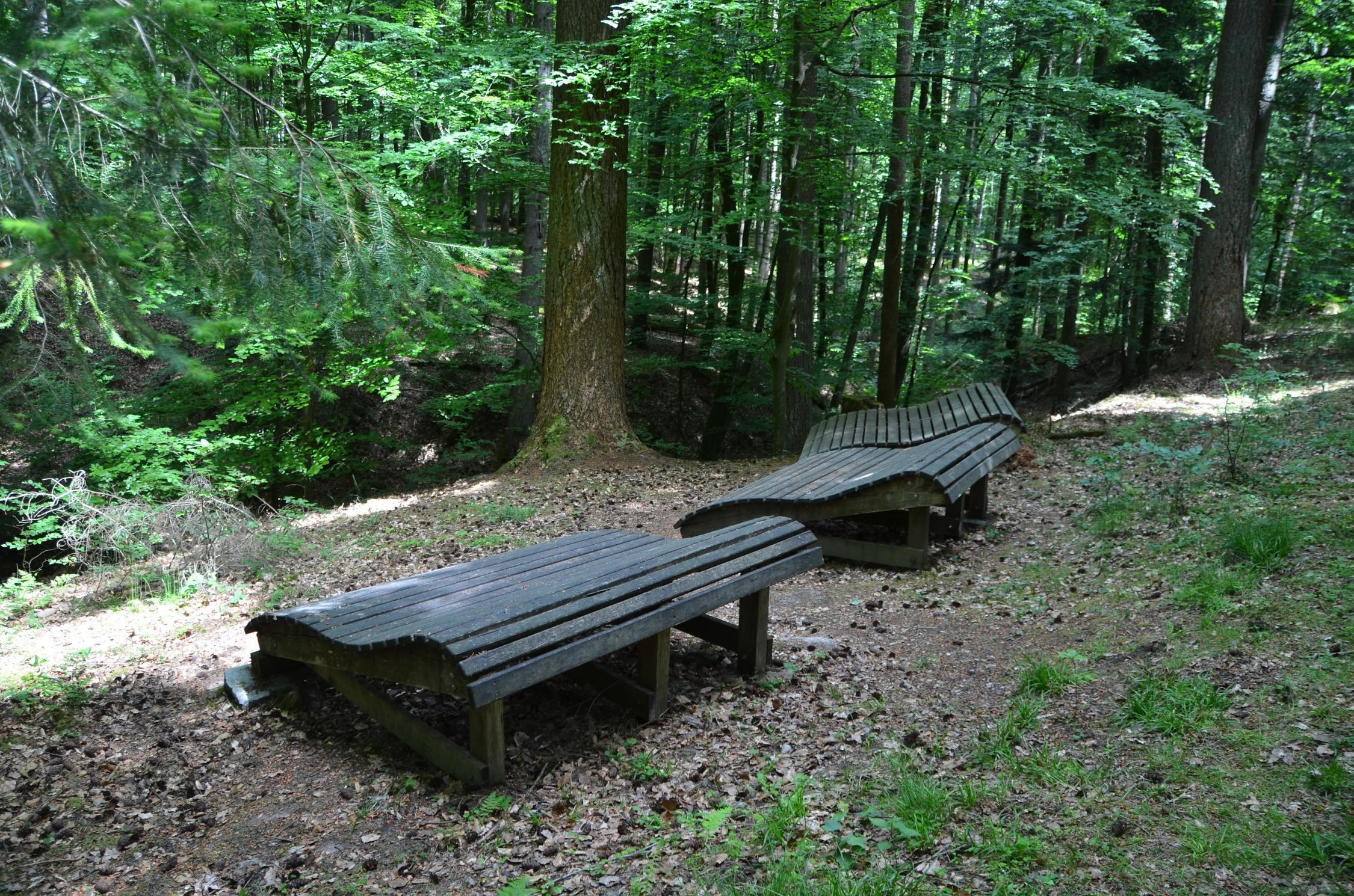 Meditation