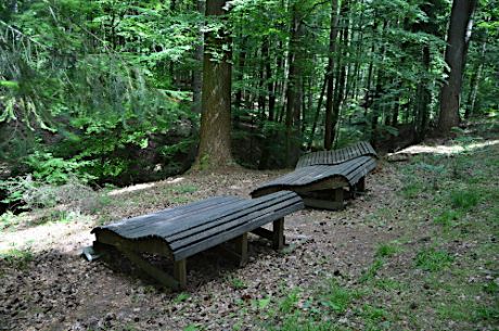 Meditationsliegen zum Waldbaden