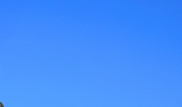 Slider Bild