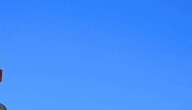 Slider Bild
